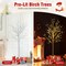 Set of 3 Prelit Birch Trees 4 5 6FT LED Lighted Christmas Decor